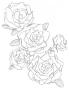 gal/Art - Yuji/_thb_Splash3-Roses.jpg